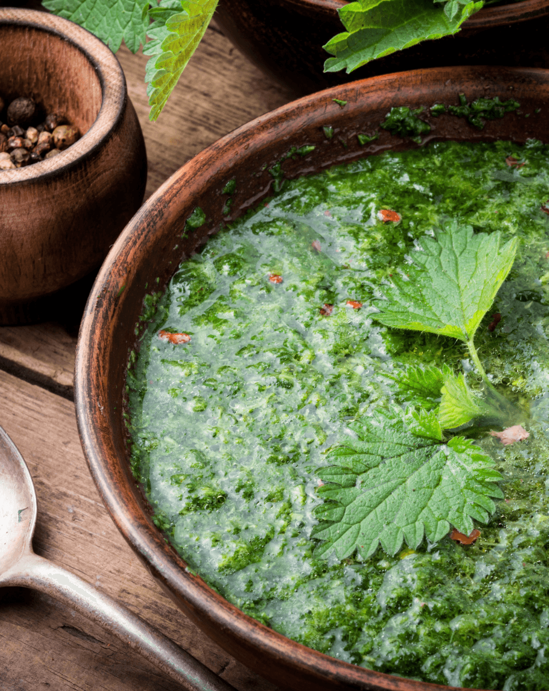 Soupe d’orties sauvages